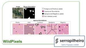 Dense Labeling of Remote Sensing Images in the Wild