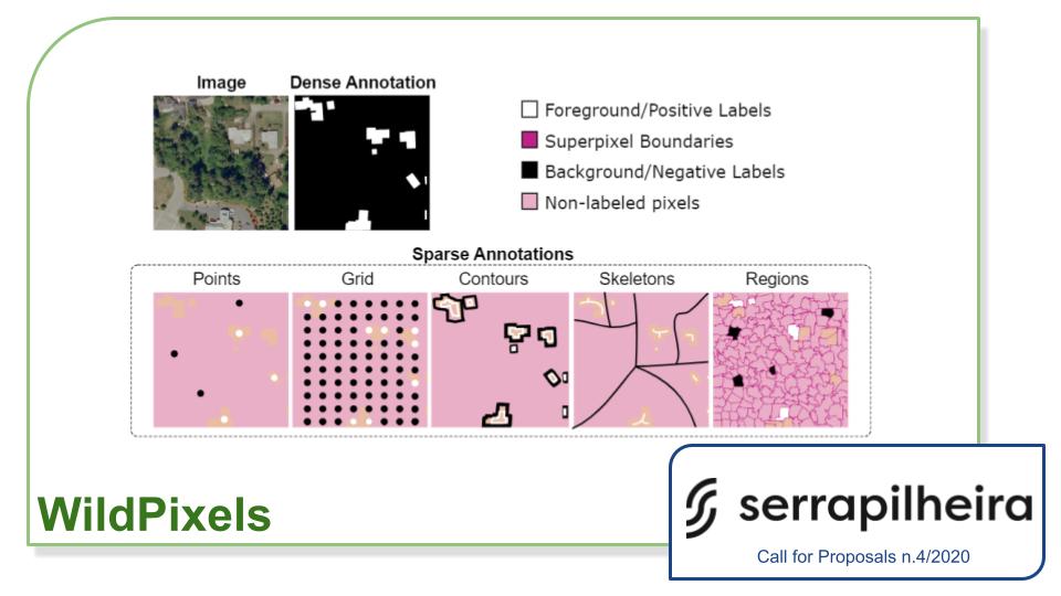 Dense Labeling of Remote Sensing Images in the Wild